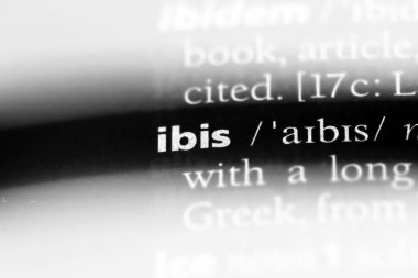 Ibis Word'de bir sözlük. Ibis kavramı.