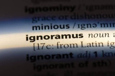 ignoramous tek kelimeyle bir sözlük. ignoramous kavramı.