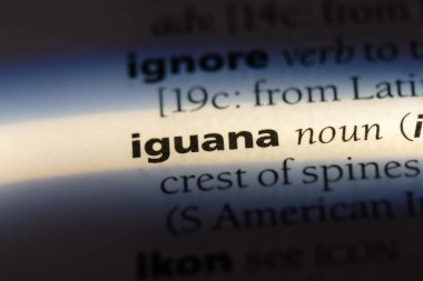 iguana Word'de bir sözlük. iguana kavramı.