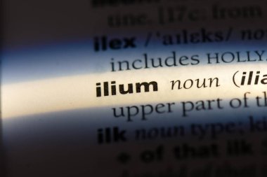 Ilium Word'de bir sözlük. Ilium kavramı.