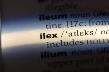 çobanpüskülü Word'de bir sözlük. çobanpüskülü kavramı.