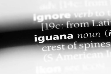 iguana Word'de bir sözlük. iguana kavramı.