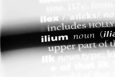 Ilium Word'de bir sözlük. Ilium kavramı.