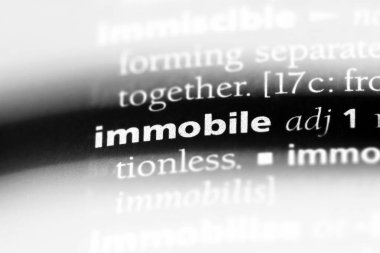 hareketsiz tek kelimeyle bir sözlük. hareketsiz kavramı.