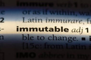 değişmez tek kelimeyle bir sözlük. değişmez kavramı.