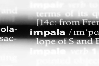 Impala Word'de bir sözlük. Impala kavramı.