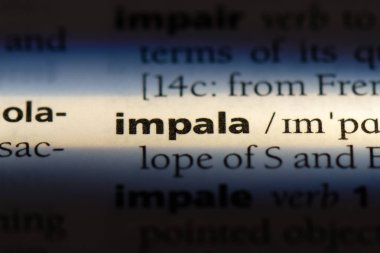 Impala Word'de bir sözlük. Impala kavramı.