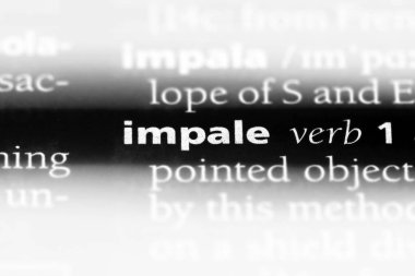 bir sözlüğü'ndeki sözcüğü kazığa oturtmak. kavram kazığa oturtmak.