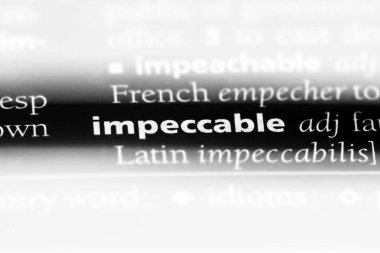 kusursuz tek kelimeyle bir sözlük. kusursuz kavramı.