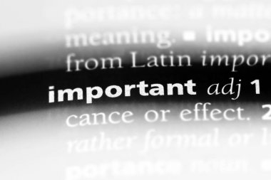 önemli kelime sözlüğe. önemli kavram.