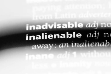 bir sözlüğü'ndeki devredilemez sözcüğü. devredilemez kavramı.