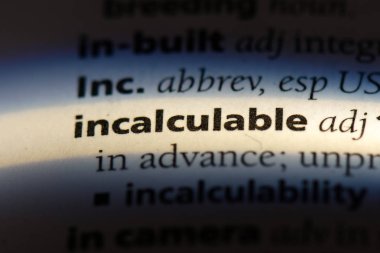 bir sözlüğü'ndeki hesaplanamaz sözcüğü. hesaplanamaz kavramı.