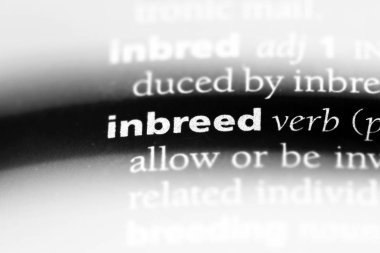 bir sözlüğü'ndeki sözcüğü inbreed. kavram inbreed.