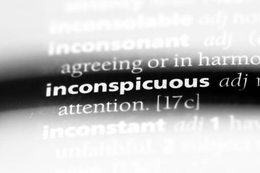 göze çarpmayan tek kelimeyle bir sözlük. göze çarpmayan kavramı.