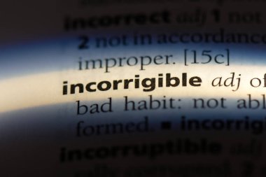 bir sözlüğü'ndeki uslanmaz sözcüğü. uslanmaz kavramı.