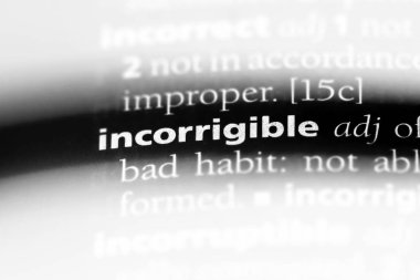 bir sözlüğü'ndeki uslanmaz sözcüğü. uslanmaz kavramı.