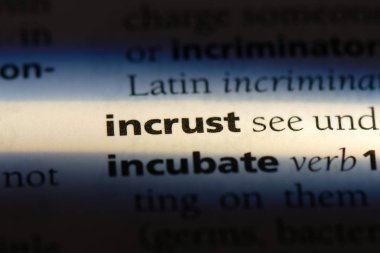 bir sözlüğü'ndeki sözcüğü incrust. kavram incrust.