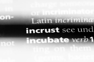 bir sözlüğü'ndeki sözcüğü incrust. kavram incrust.