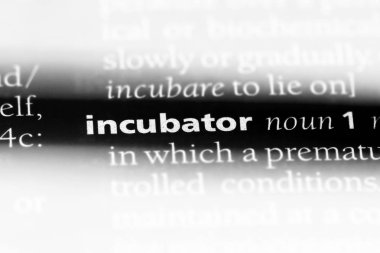 Kuluçka makinesi Word'de bir sözlük. Kuluçka makinesi konsepti.