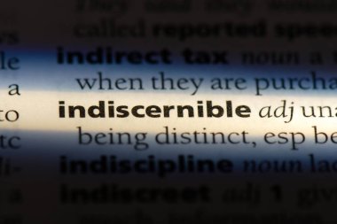 indescernible sözcük sözlüğe. indescernible kavramı.