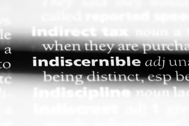 indescernible sözcük sözlüğe. indescernible kavramı.
