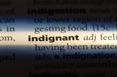 kızgın tek kelimeyle bir sözlük. kızgın kavramı.