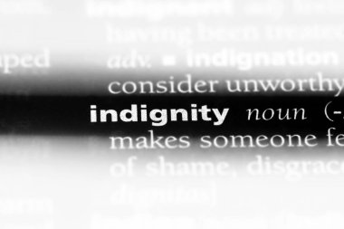 bir sözlüğü'ndeki rezalet sözcüğü. aşağılama kavramı.