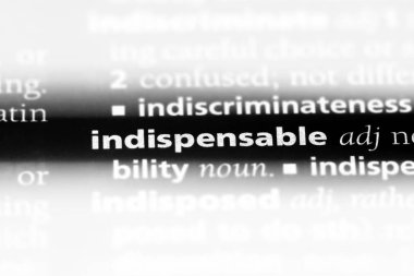 vazgeçilmez tek kelimeyle bir sözlük. vazgeçilmez kavramı.