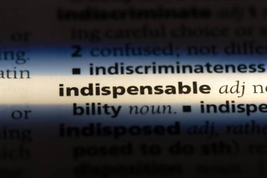 vazgeçilmez tek kelimeyle bir sözlük. vazgeçilmez kavramı.