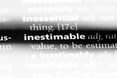 paha biçilmez tek kelimeyle bir sözlük. paha biçilmez kavramı.