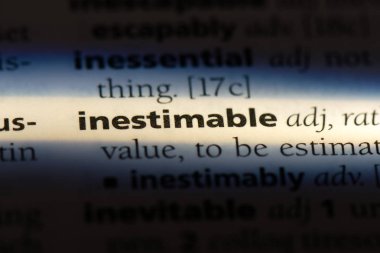 paha biçilmez tek kelimeyle bir sözlük. paha biçilmez kavramı.