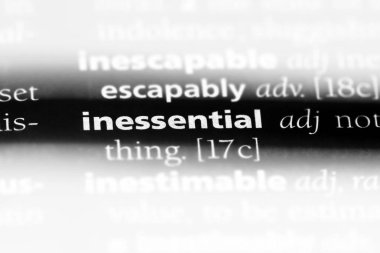inessential tek kelimeyle bir sözlük. inessential kavramı.