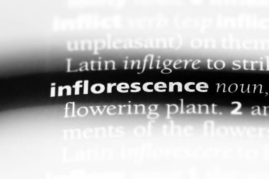 Önümüzdeki Word'de bir sözlük. Önümüzdeki kavramı.