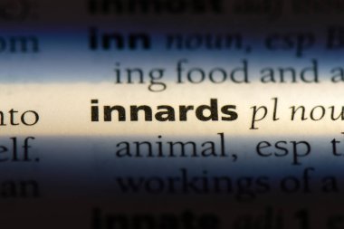 iç organlarını Word'de bir sözlük. iç organlarını kavramı.