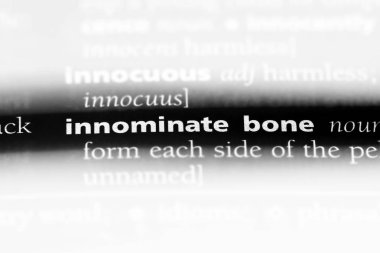 innominate kemik Word'de bir sözlük. innominate kemik kavramı.