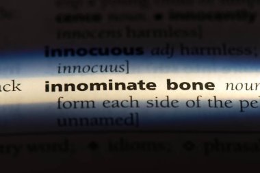 innominate kemik Word'de bir sözlük. innominate kemik kavramı.