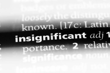 önemsiz kelime sözlüğe. önemsiz kavramı.