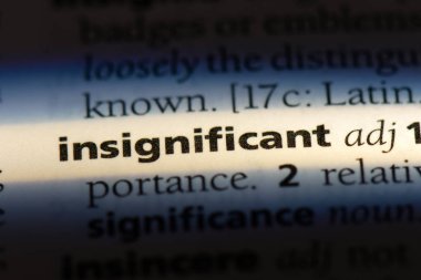 önemsiz kelime sözlüğe. önemsiz kavramı.