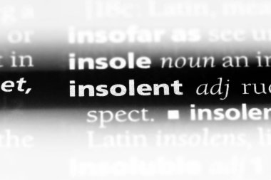 küstah tek kelimeyle bir sözlük. küstah kavramı.