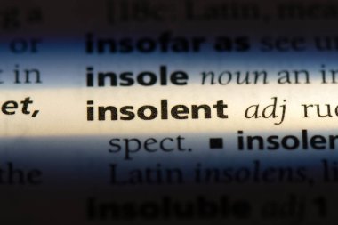 küstah tek kelimeyle bir sözlük. küstah kavramı.