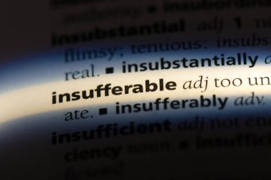 bir sözlüğü'ndeki çekilmez sözcüğü. çekilmez kavramı.