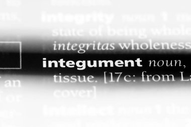 deri Word'de bir sözlük. deri kavramı.