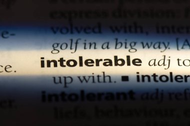 bir sözlüğü'ndeki dayanılmaz sözcüğü. dayanılmaz kavramı.