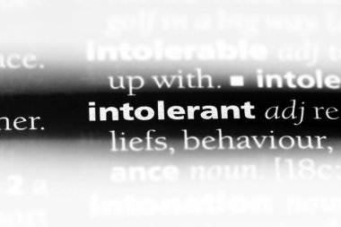 bir sözlüğü'ndeki hoşgörüsüz sözcüğü. hoşgörüsüz kavramı.