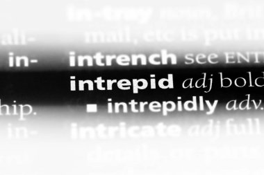 korkusuz sözcük sözlüğe. cesur kavramı.