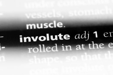 Evolvent tek kelimeyle bir sözlük. Evolvent kavramı.