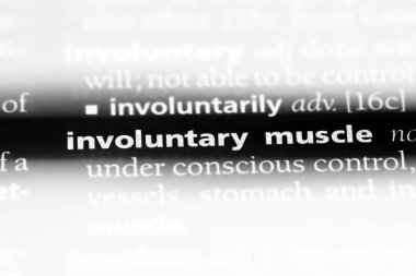 istemsiz kas Word'de bir sözlük. istemsiz kas kavramı.