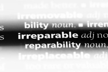 bir sözlüğü'ndeki onarılamaz sözcüğü. onarılamaz kavramı.