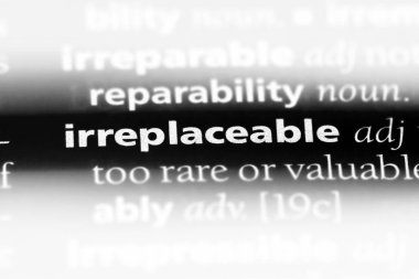 yeri doldurulamaz tek kelimeyle bir sözlük. yeri doldurulamaz kavramı.