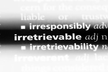 bir sözlüğü'ndeki karşılanamaz sözcüğü. karşılanamaz kavramı.